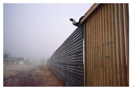 The Family of Migrants