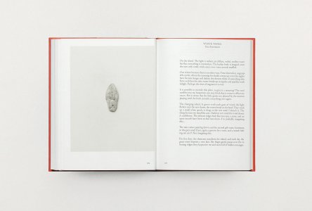 Pretenzione Intenzione