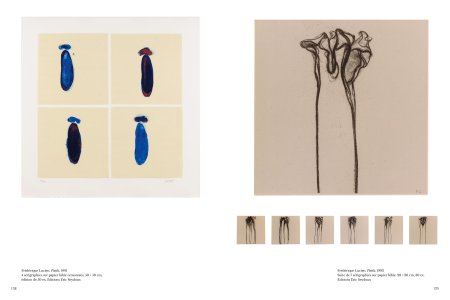 Dans l'atelier d'Éric Seydoux, imprimeur et éditeur en sérigraphie