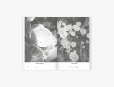 Abécédaire of Fringes