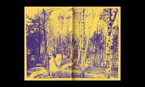 Karl Marx in Karlsbad