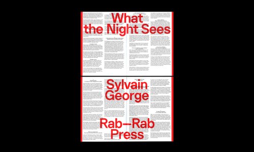 What the Night Sees (essai / poster)