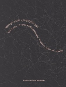 Madness of the Anthropocene