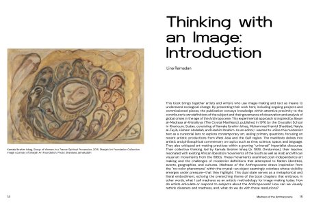 Madness of the Anthropocene