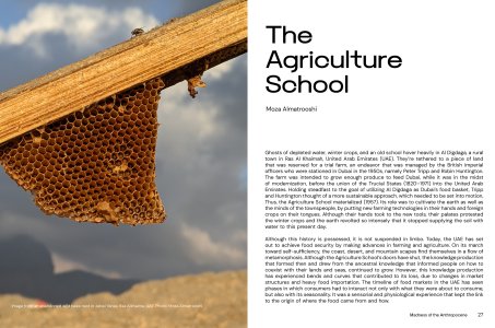 Madness of the Anthropocene