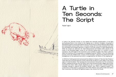 Madness of the Anthropocene