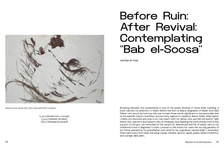 Madness of the Anthropocene