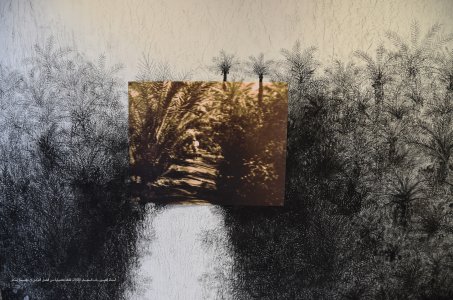 Madness of the Anthropocene