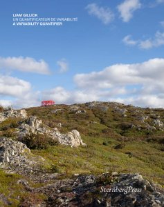 Liam Gillick - A Variability Quantifier