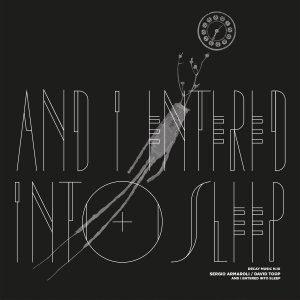 David Toop - Decay Music n.10 - And I Entered Into Sleep (vinyl LP)
