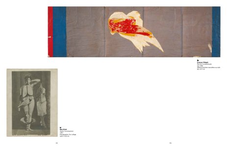 Beautés désordonnées