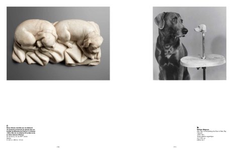 Beautés désordonnées