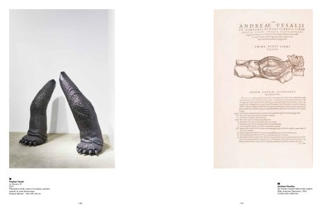 Beautés désordonnées