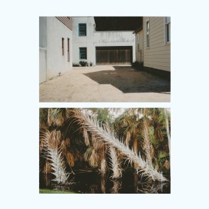 Jack Sheen - The Vestige (vinyl LP)