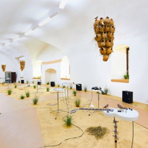 From here to ear (v.25) (vinyl LP)