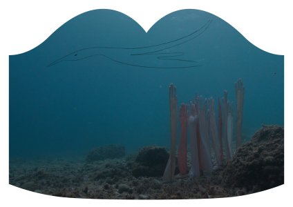 Au fort les âmes sont