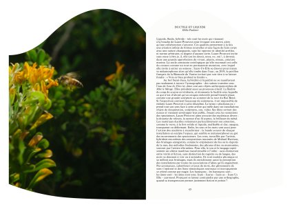 Au fort les âmes sont