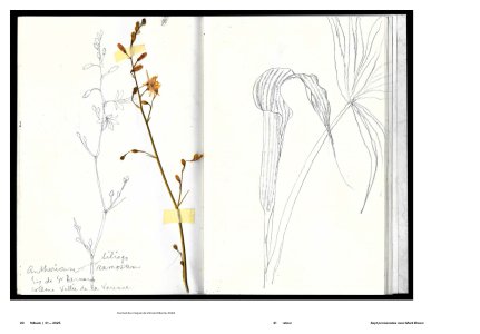 Fidback – Revue de cinéma