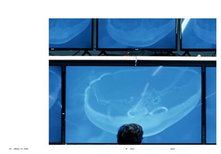 Fidback – Revue de cinéma