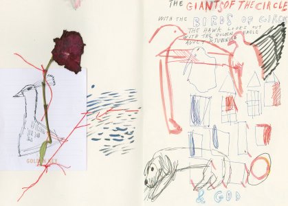 In the Sunset – There Is Life – It Shines on Us