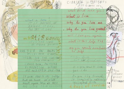 In the Sunset – There Is Life – It Shines on Us