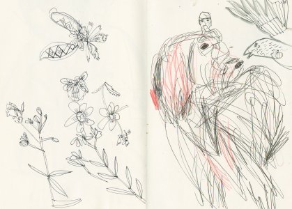 In the Sunset – There Is Life – It Shines on Us