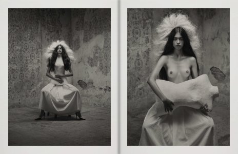 Birds of Mexico City