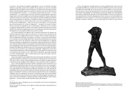 La forme élémentaire de l'être humain