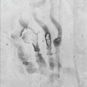 Robin Watkins - Heliogram (livre + flexi disc)