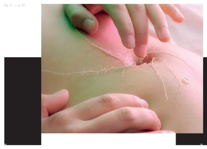 Photographie et écologie