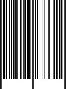 Vittorio Pizzigoni - Architecture as a Historical Discipline
