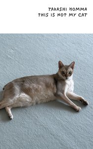 Takashi Homma - This Is Not My Cat