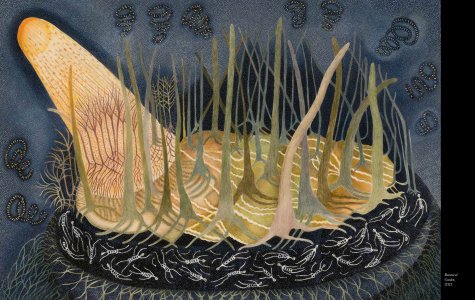 On the Verge of Becoming