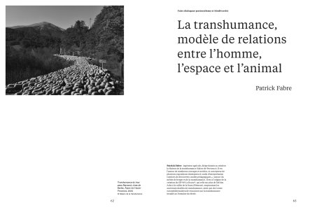 Cahiers mésozoaires