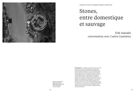 Cahiers mésozoaires