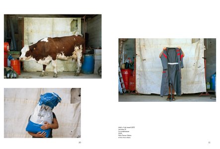 Cahiers mésozoaires