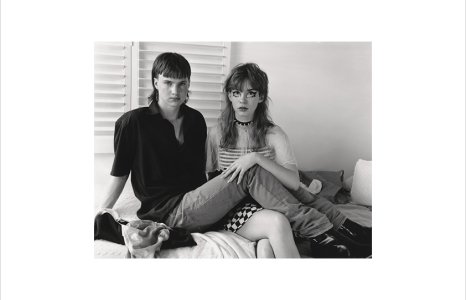 Pulp