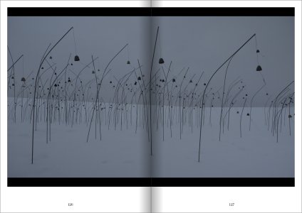 Et la vie continue…