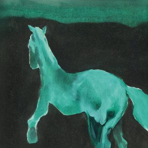  Schatterau - Wir gingen durch leere Stunden (vinyl LP)