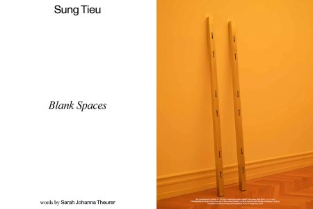 Flash Art Volumes