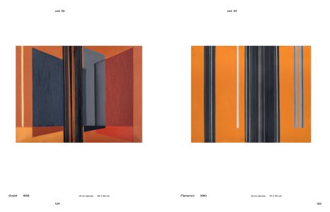Abstraction in Abundance