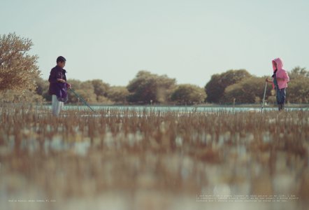 Atlas of Cinematic Affinities