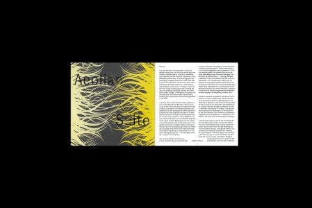 Aeolian Suite (livre + vinyl LP)