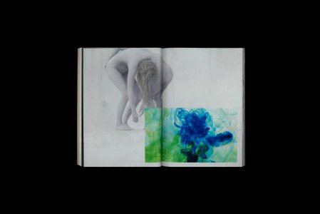 Camouflage Consciousness