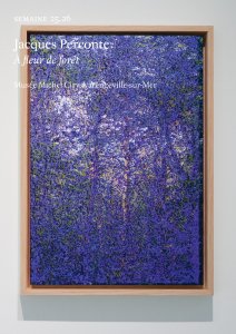 Jacques Perconte - Semaine - Jacques Perconte, À fleur de forêt | Musée Michel Ciry, Varengeville-sur-Mer