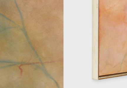 Skin Paintings
