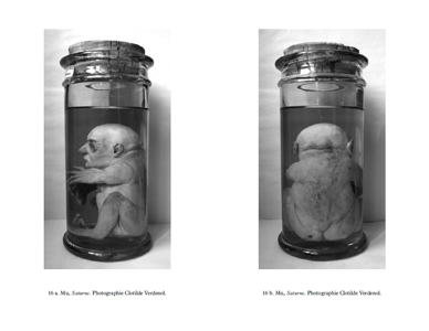 L'esprit  de la modernité révélé par quelques traits pataphysiques