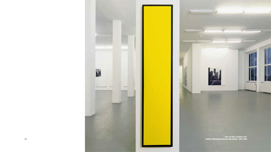 A Literature of Images