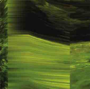  VJ Vera Lukásová - Carpets Curtains (DVD)