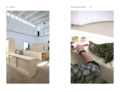 How are you going to behave? A kitchen cat speaks